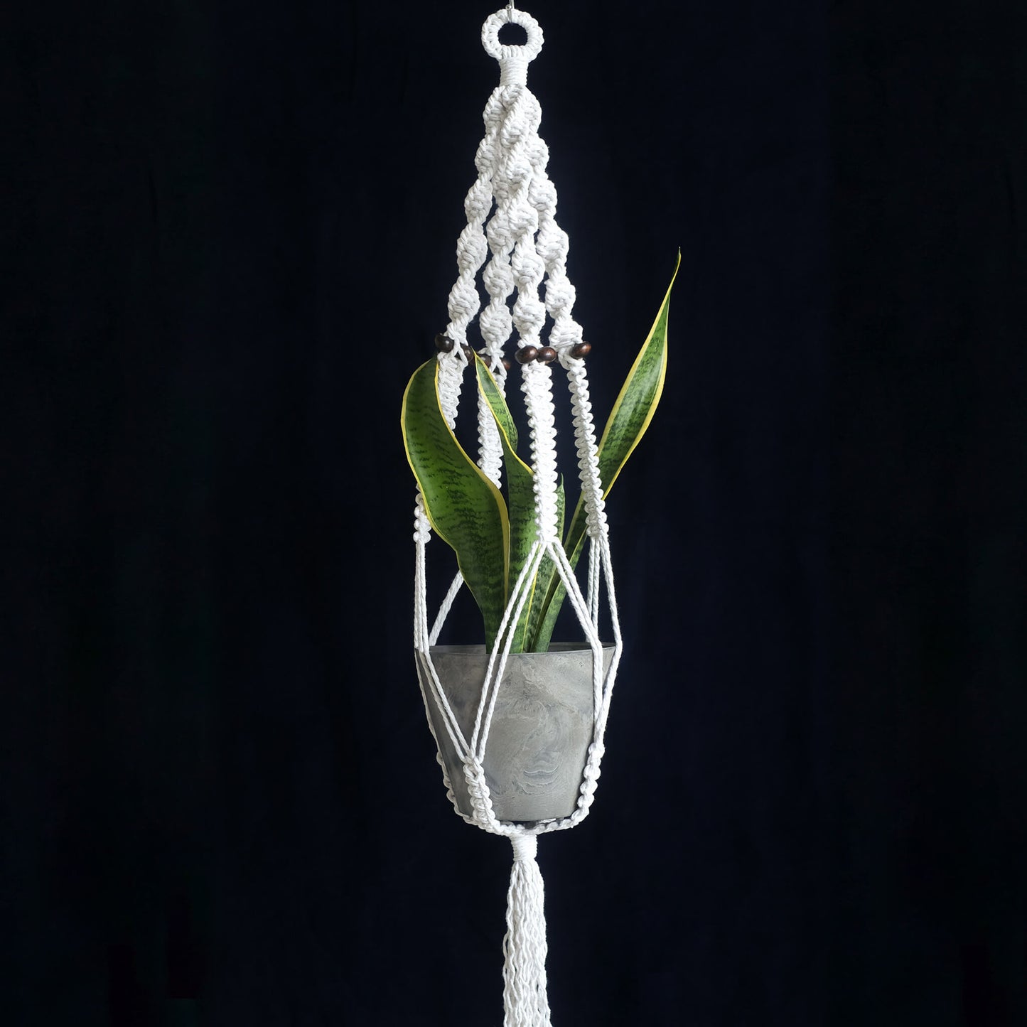 Macrame Plant Hanger: Twist & Square
