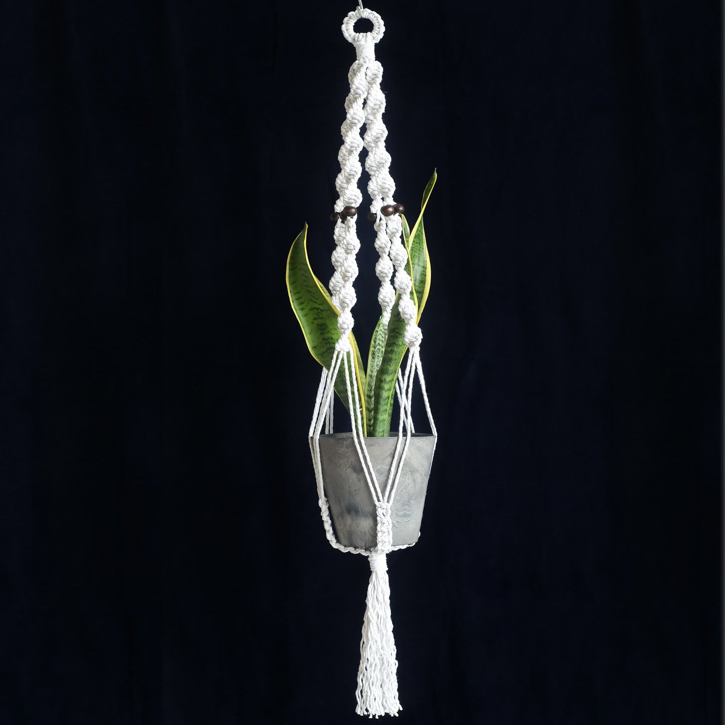 Macrame Plant Hanger: Twist